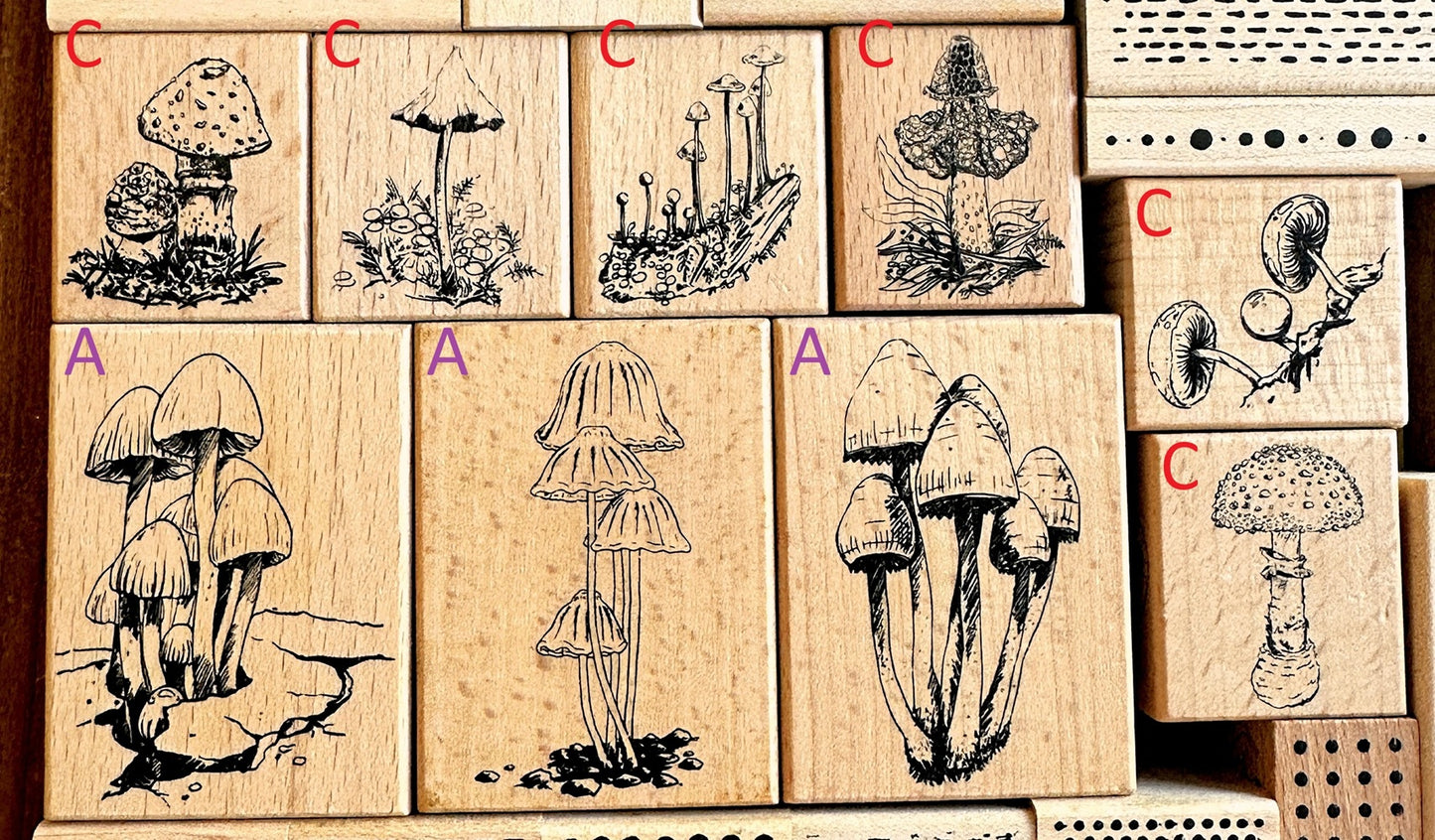 Lin Chia Ning - assorted rubber stamps [Pre-Loved]