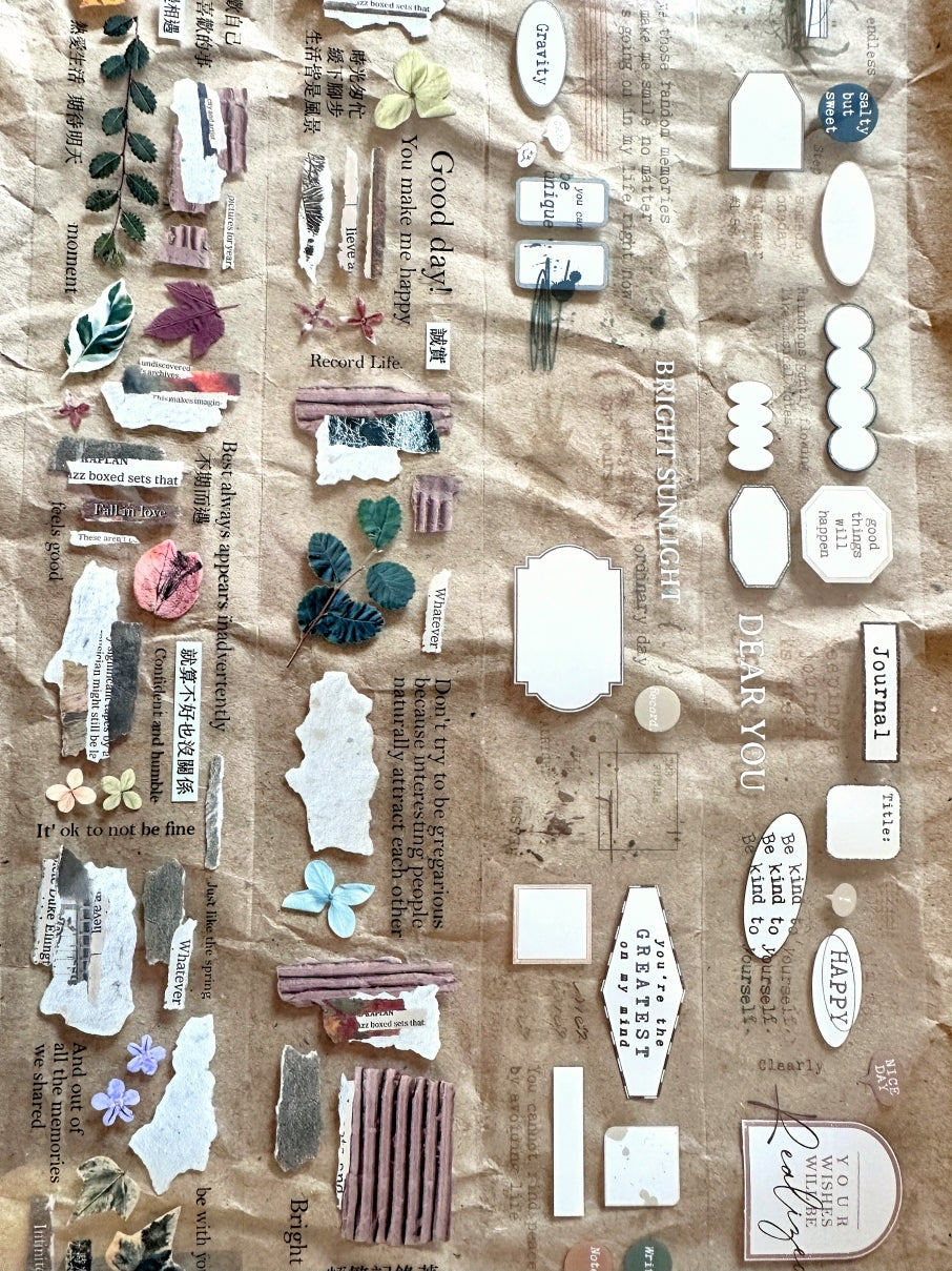 Gleam - Forecast (Morandi) PET tape SAMPLES