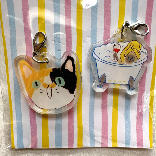 Destash | Huu's Fantasy - acrylic pendant charms set (New in package)