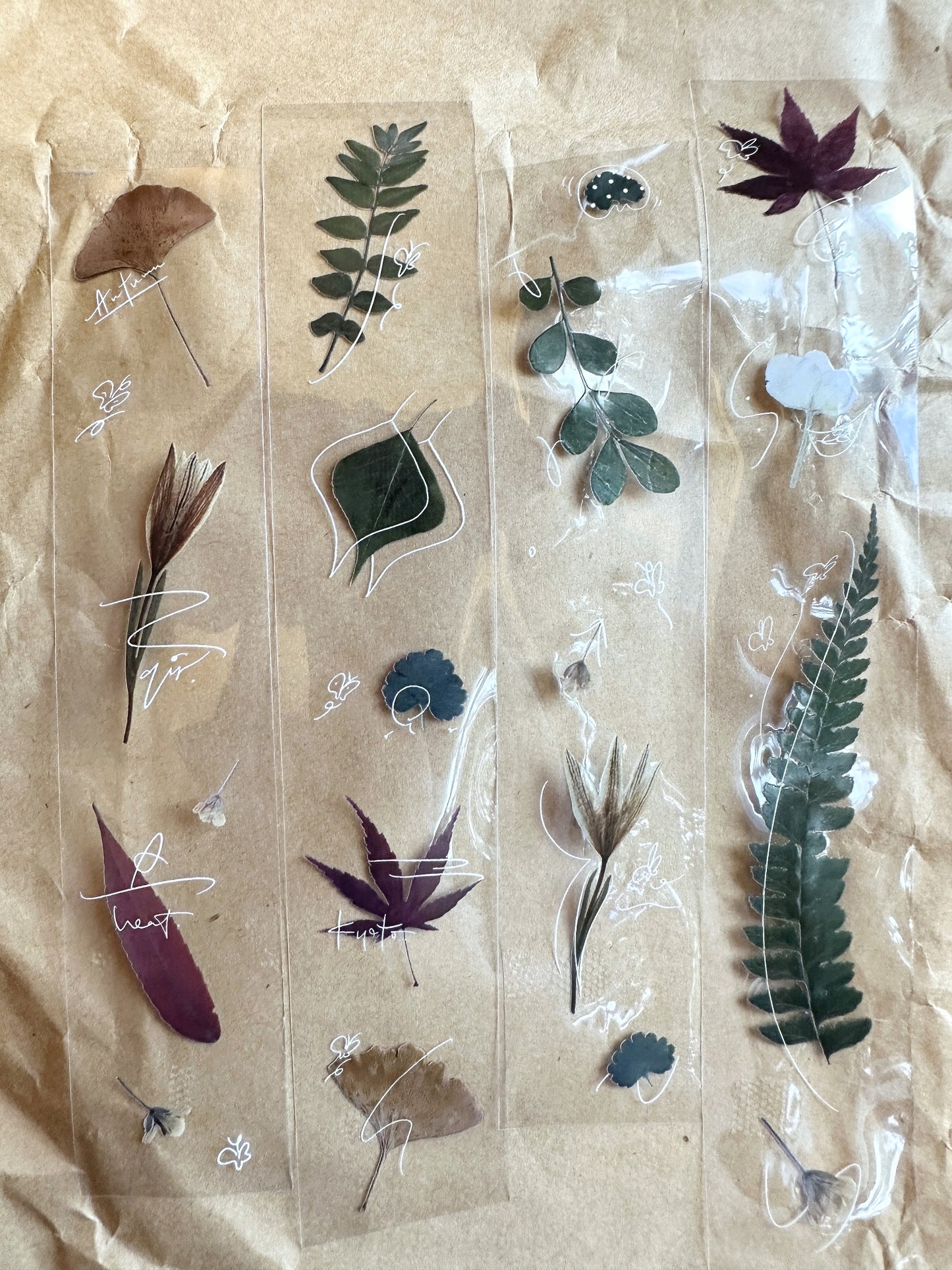 Jr. Journal - Wild Fleur PET tape SAMPLES
