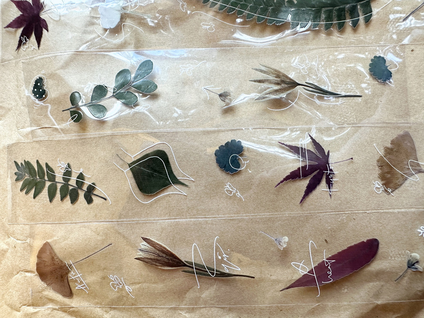 Jr. Journal - Wild Fleur PET tape SAMPLES