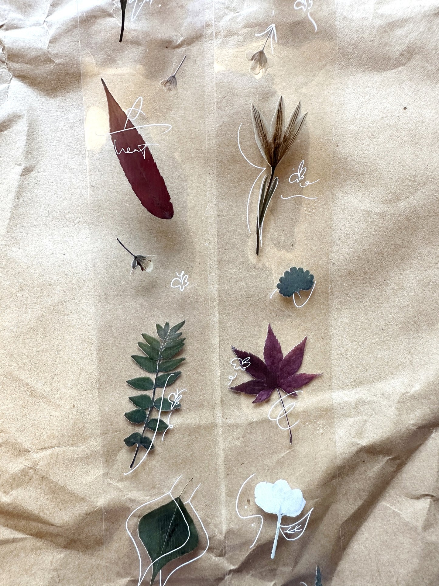 Jr. Journal - Wild Fleur PET tape SAMPLES
