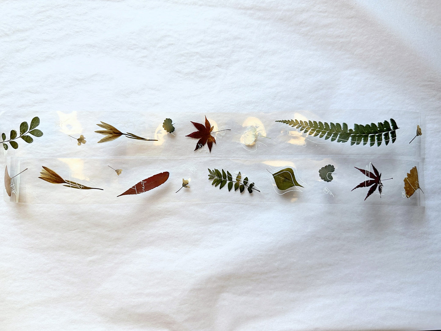 Jr. Journal - Wild Fleur PET tape SAMPLES