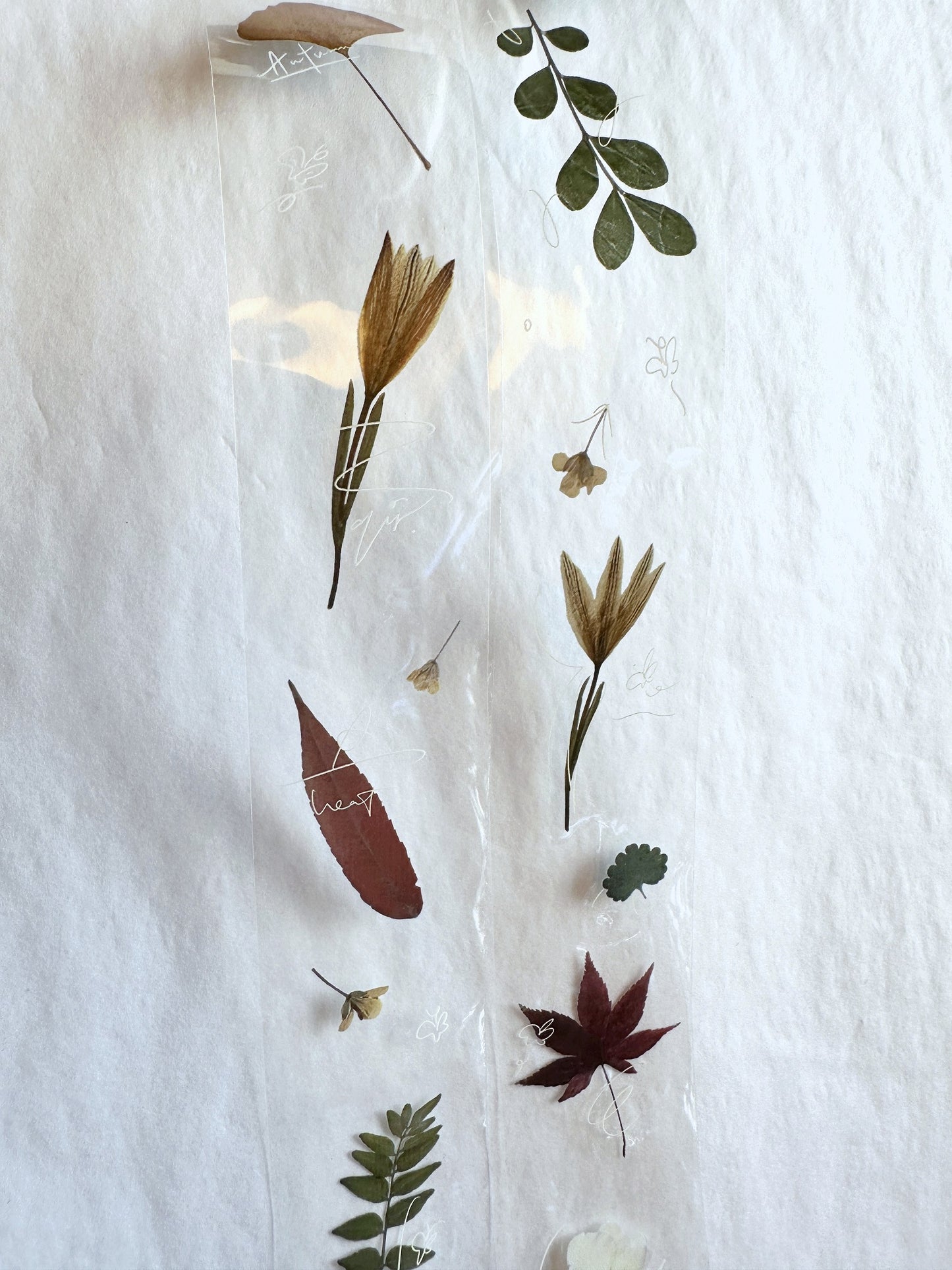 Jr. Journal - Wild Fleur PET tape SAMPLES