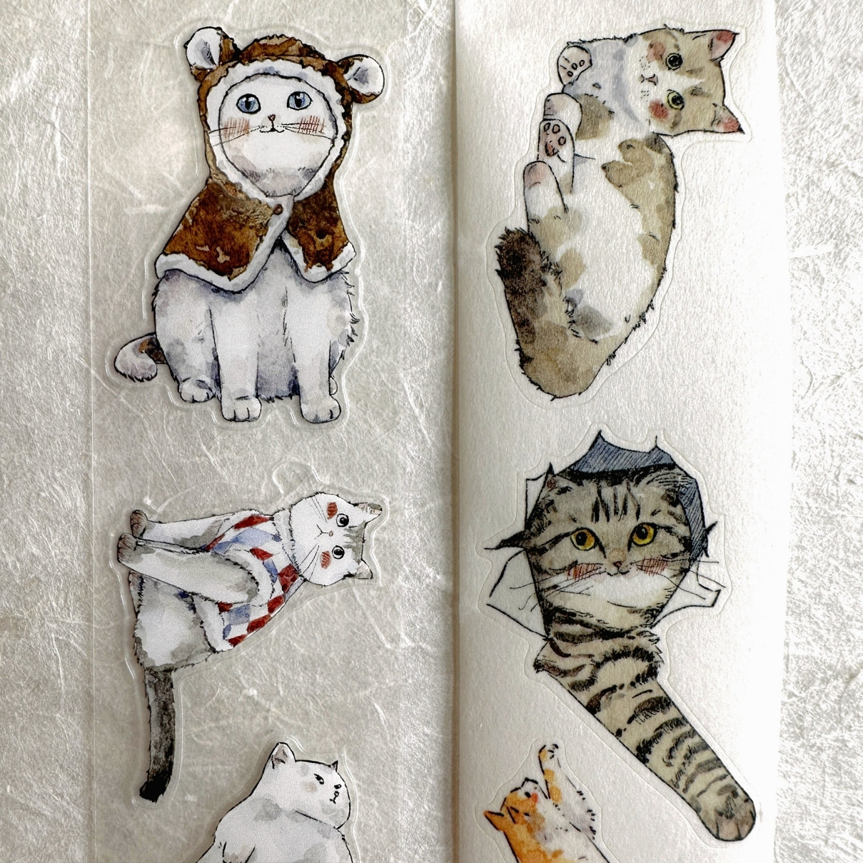 Kaixun - Meow Moi! Fluffy kiss-cut PET & washi tape (3.5 cm x 250 cm) SAMPLES