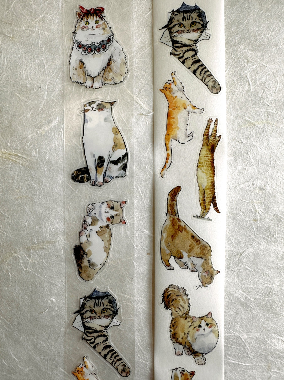 Kaixun - Meow Moi! Fluffy kiss-cut PET & washi tape (3.5 cm x 250 cm) SAMPLES