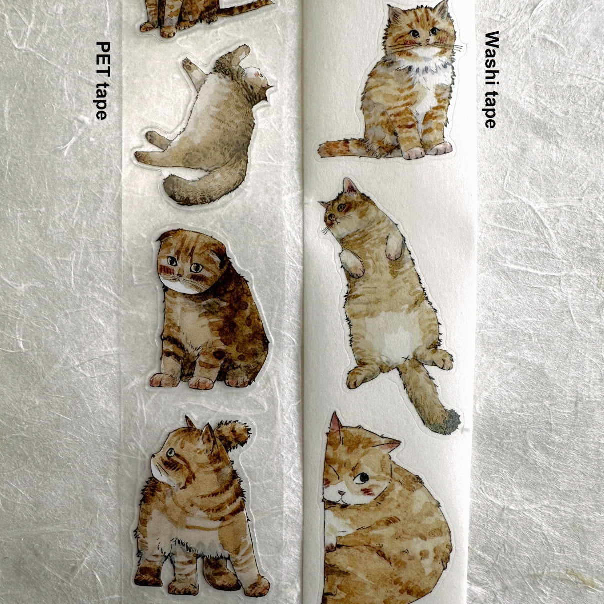 Kaixun - Meow Moi! Fluffy kiss-cut PET & washi tape (3.5 cm x 250 cm) SAMPLES
