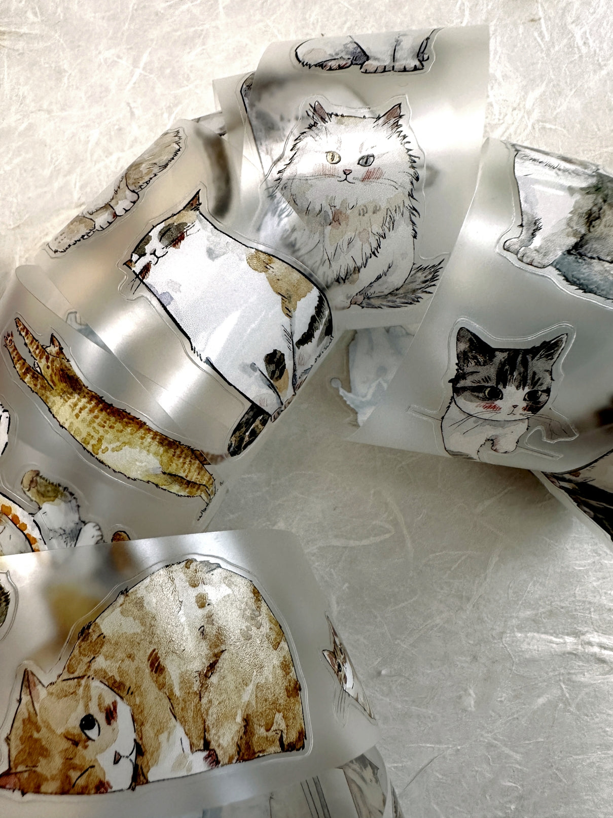 Kaixun - Meow Moi! Fluffy kiss-cut PET & washi tape (3.5 cm x 250 cm) SAMPLES