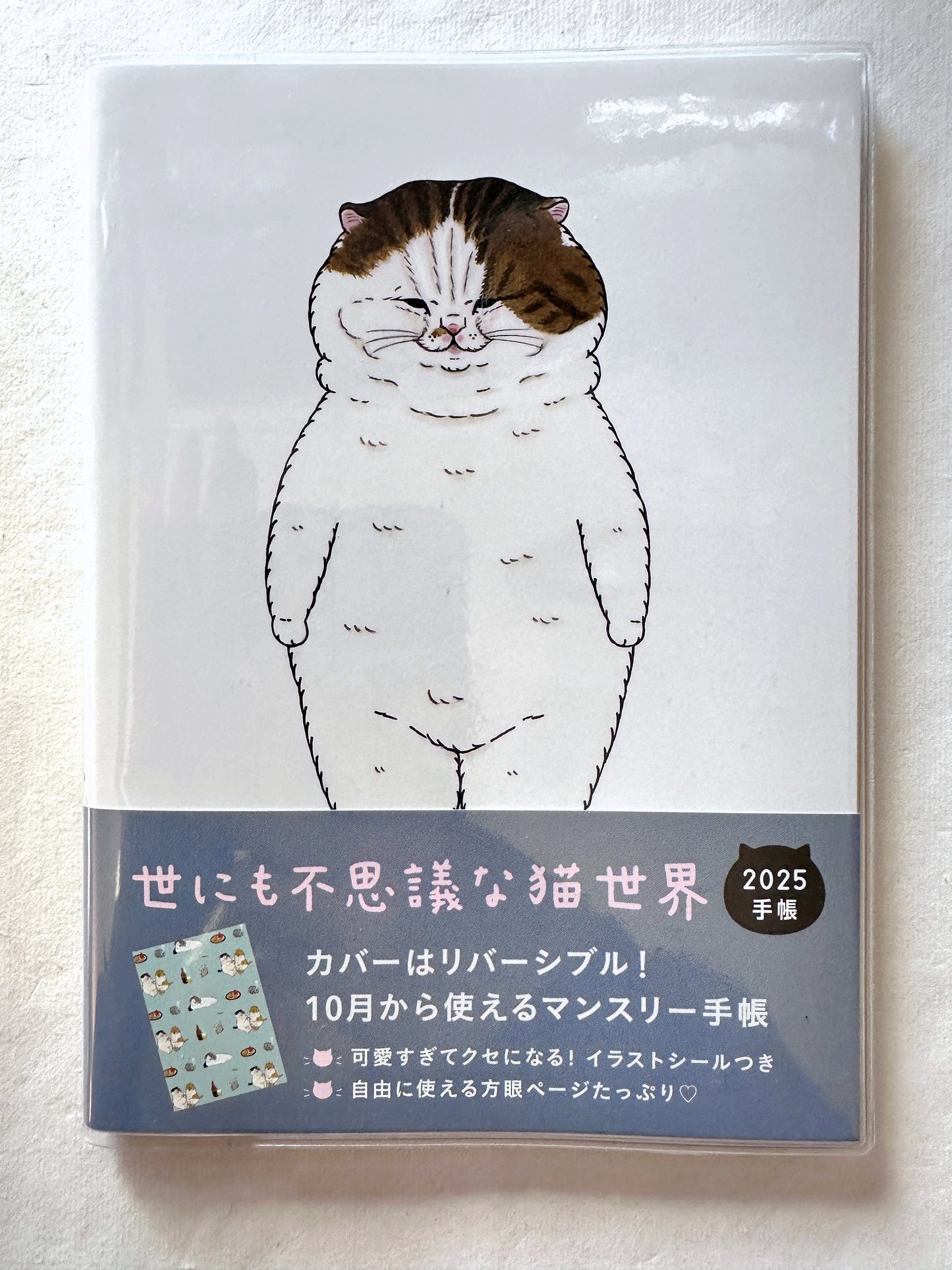 Koriri - The Strange World of Cats Diary 2025