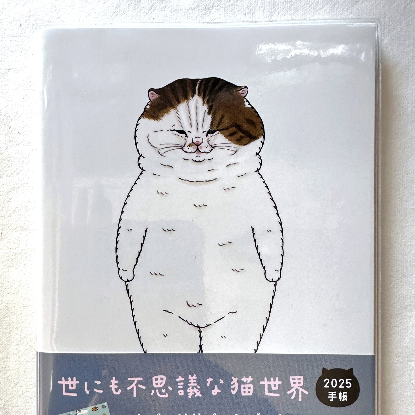 Koriri - The Strange World of Cats Diary 2025