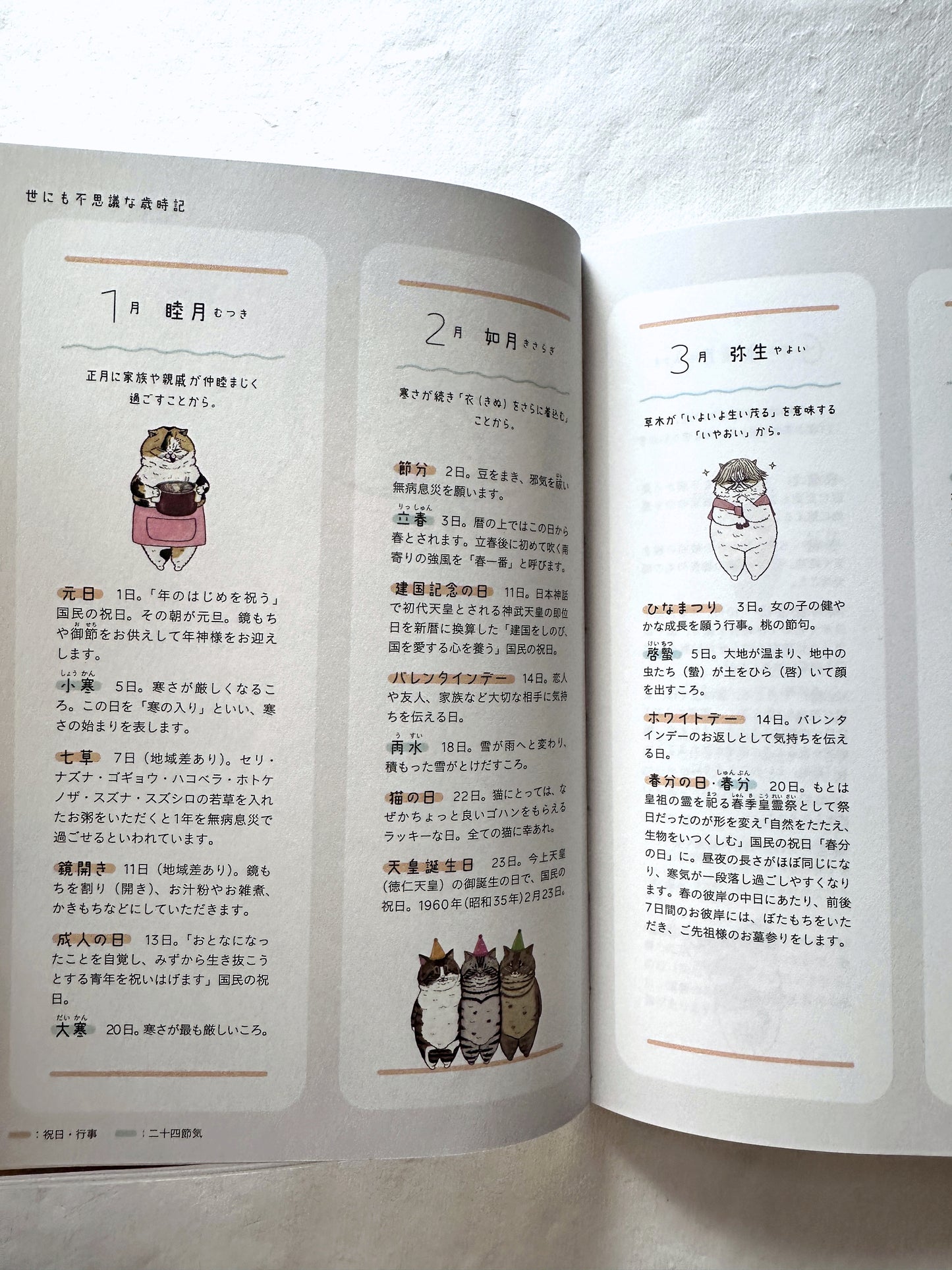 Koriri - The Strange World of Cats Diary 2025