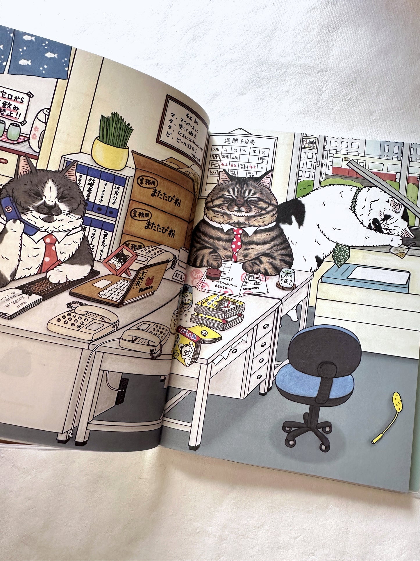 Koriri - The Strange World of Cats Diary 2025