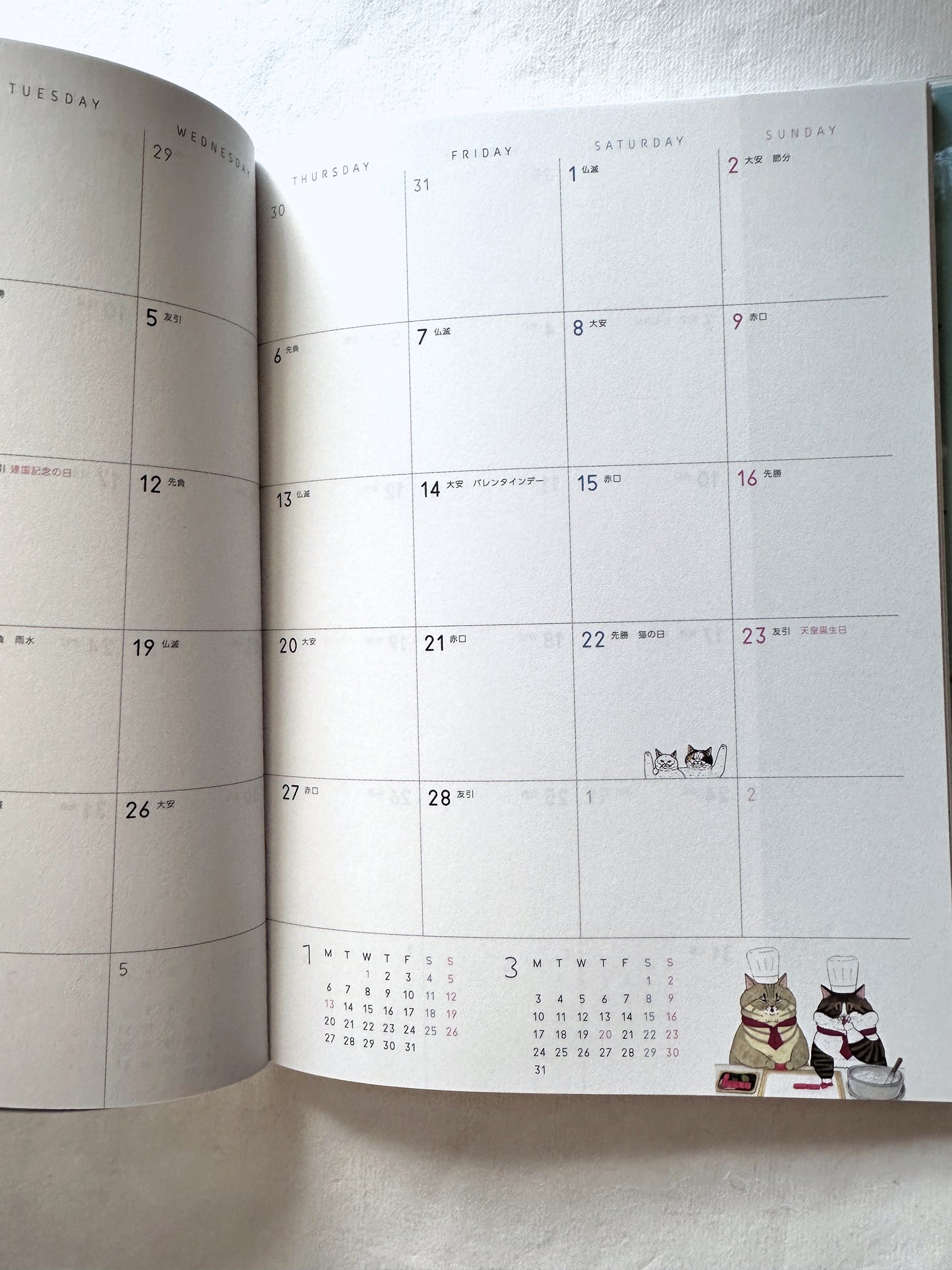 Koriri - The Strange World of Cats Diary 2025