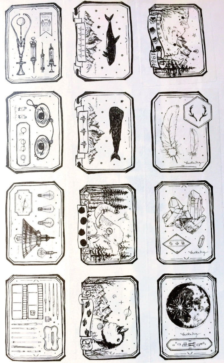 Lin Chia Ning - Specimen washi tape SAMPLES