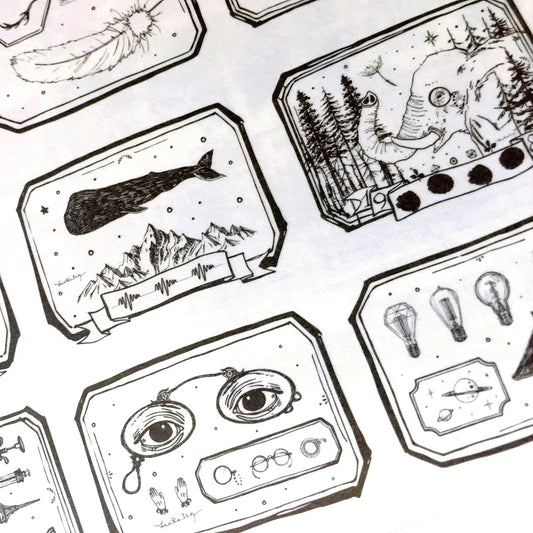Lin Chia Ning - Specimen washi tape SAMPLES