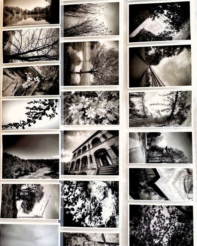 Lin Chia Ning - Journey Vol. 1 PET tape (5 cm x 200 cm) SAMPLES