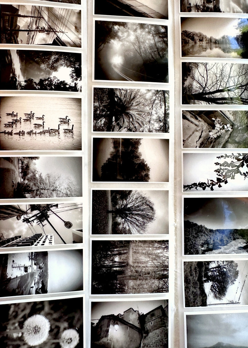 Lin Chia Ning - Journey Vol. 1 PET tape (5 cm x 200 cm) SAMPLES