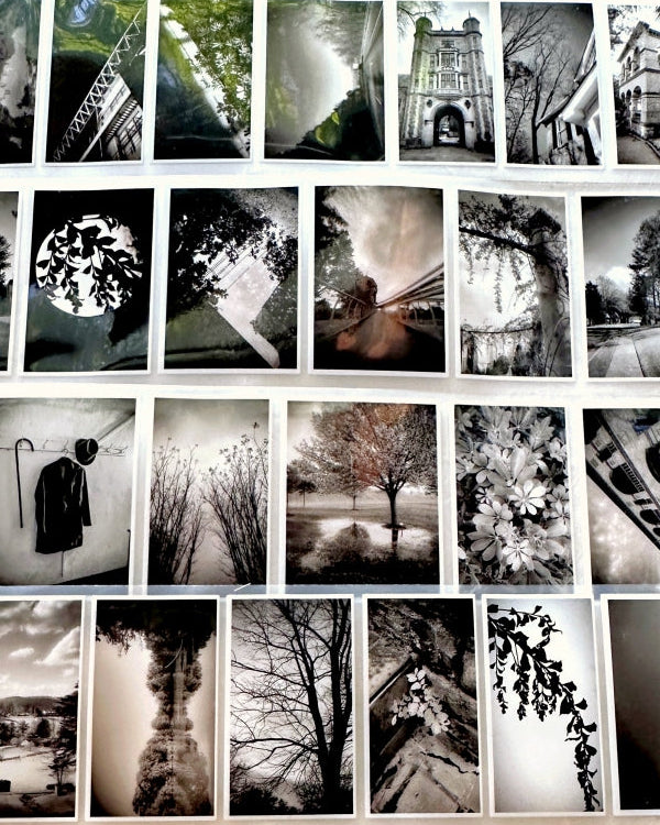 Lin Chia Ning - Journey Vol. 1 PET tape (5 cm x 200 cm) SAMPLES