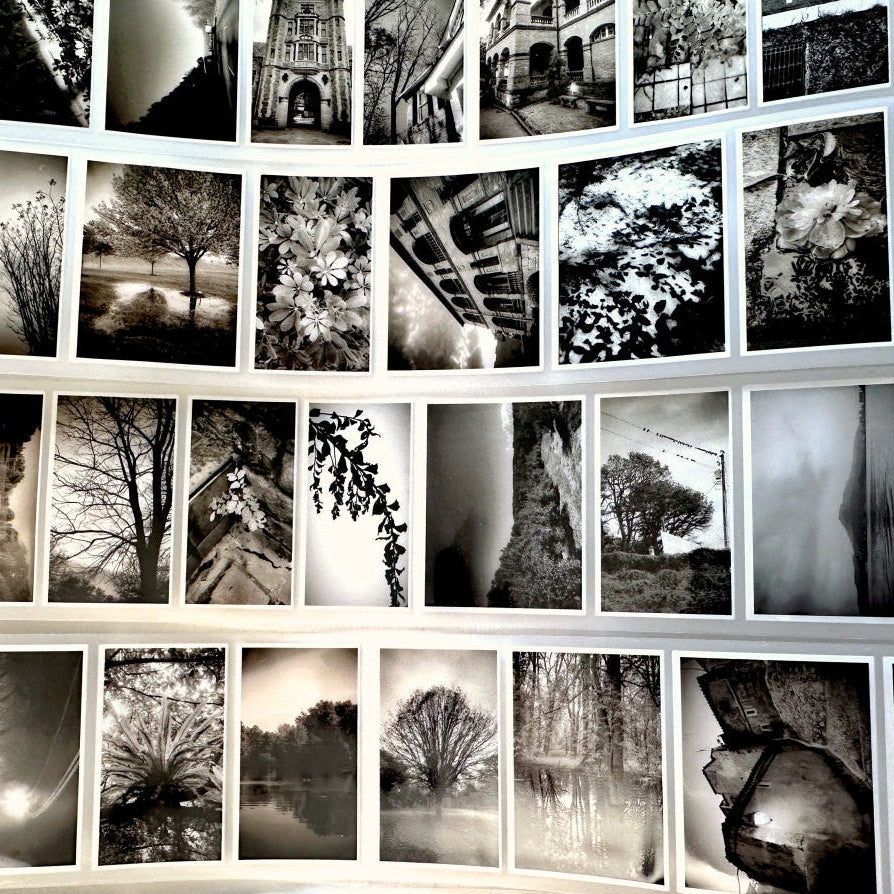 Lin Chia Ning - Journey Vol. 1 PET tape (5 cm x 200 cm) SAMPLES