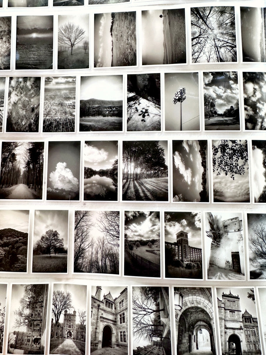 Lin Chia Ning - Journey Vol. 2 PET tape (5 cm x 200 cm) SAMPLES