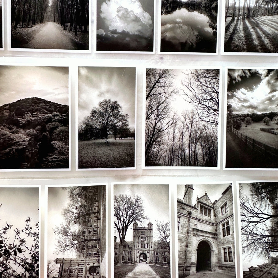 Lin Chia Ning - Journey Vol. 2 PET tape (5 cm x 200 cm) SAMPLES