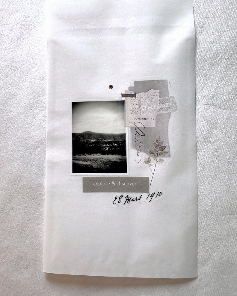 Lin Chia Ning - Journey Vol. 2 PET tape (5 cm x 200 cm) SAMPLES