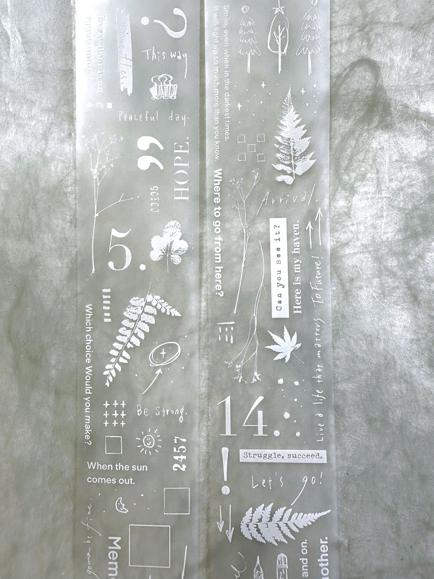 Lin Chia Ning - This and That White PET tape (5 cm x 200 cm) SAMPLES