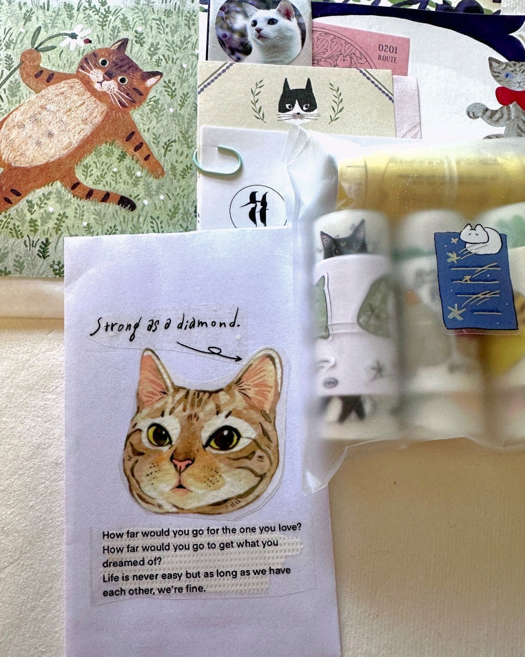 Lin Chia Ning - This and That PET tape (5 cm x 200 cm) SAMPLES