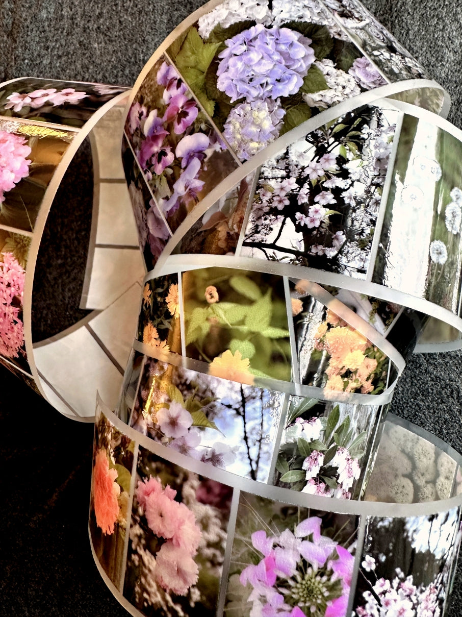 Lin Chia Ning - Journey Flower PET tape & Washi tape (200 cm) SAMPLES