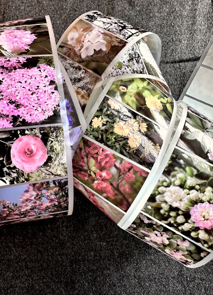 Lin Chia Ning - Journey Flower PET tape & Washi tape (200 cm) SAMPLES