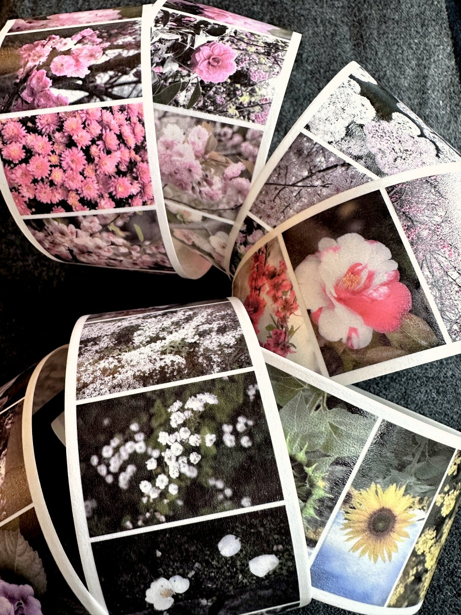 Lin Chia Ning - Journey Flower PET tape & Washi tape (200 cm) SAMPLES
