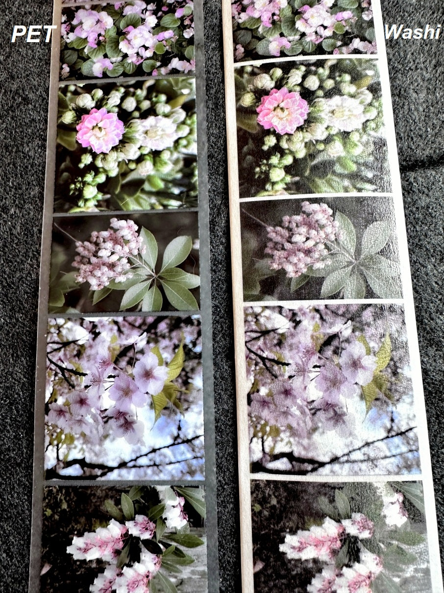Lin Chia Ning - Journey Flower PET tape & Washi tape (200 cm) SAMPLES
