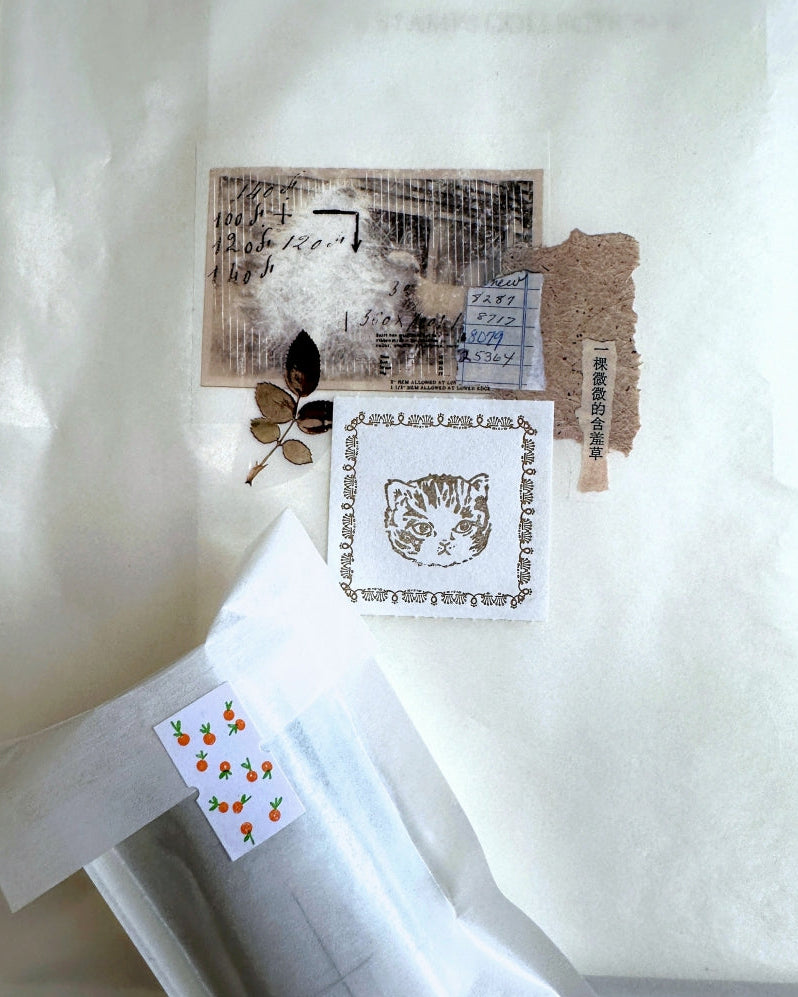 Lin Chia Ning - Once Upon a Time PET & washi tape (5 cm x 200 cm) SAMPLES