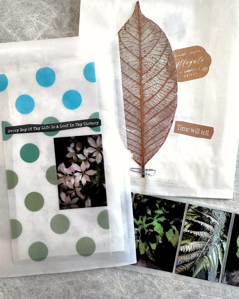 Lin Chia Ning - Journey Leaf PET tape & Washi tape (200 cm) SAMPLES