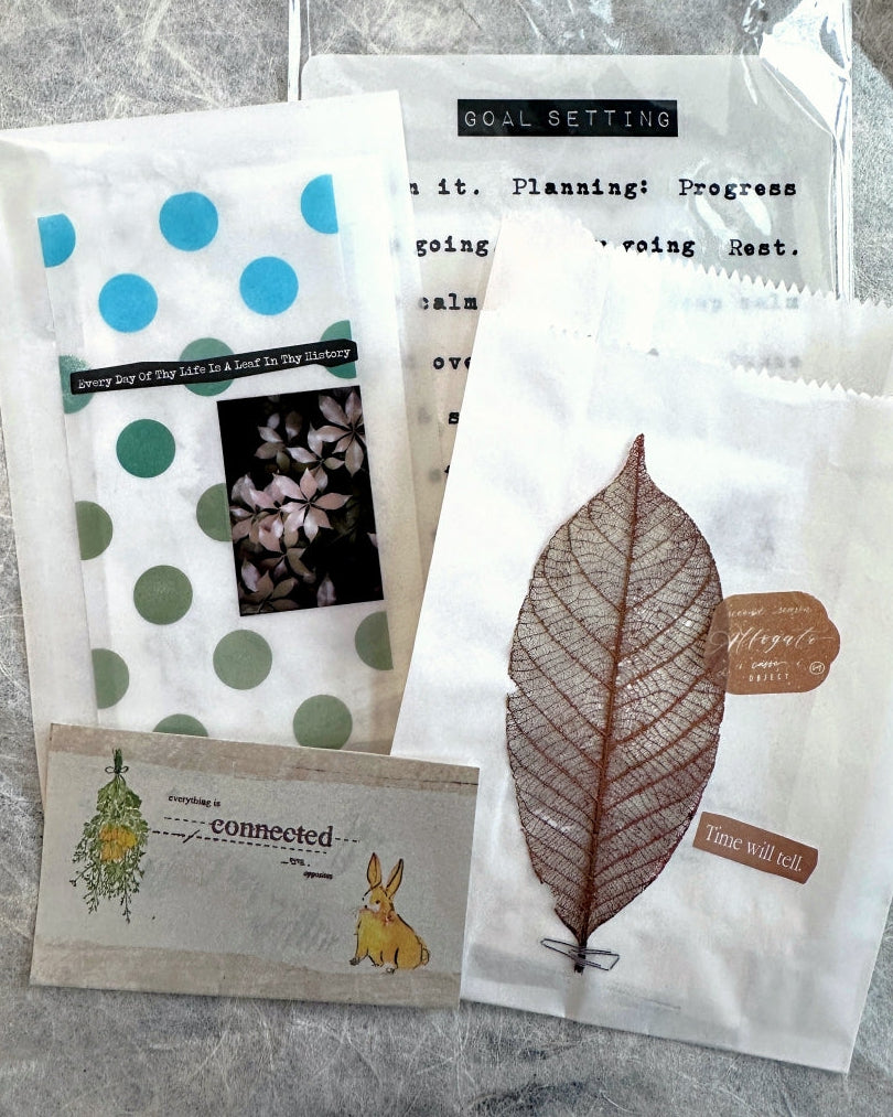 Lin Chia Ning - Journey Leaf PET tape & Washi tape (200 cm) SAMPLES