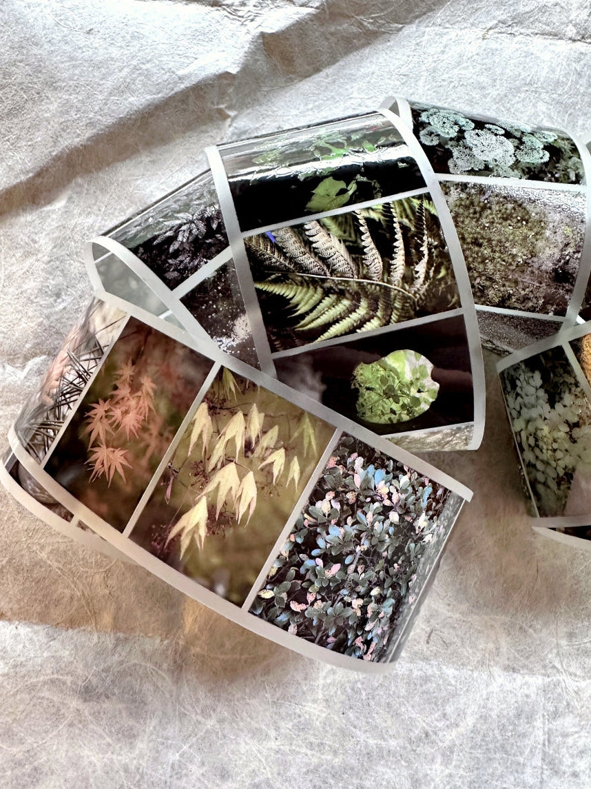 Lin Chia Ning - Journey Leaf PET tape & Washi tape (200 cm) SAMPLES