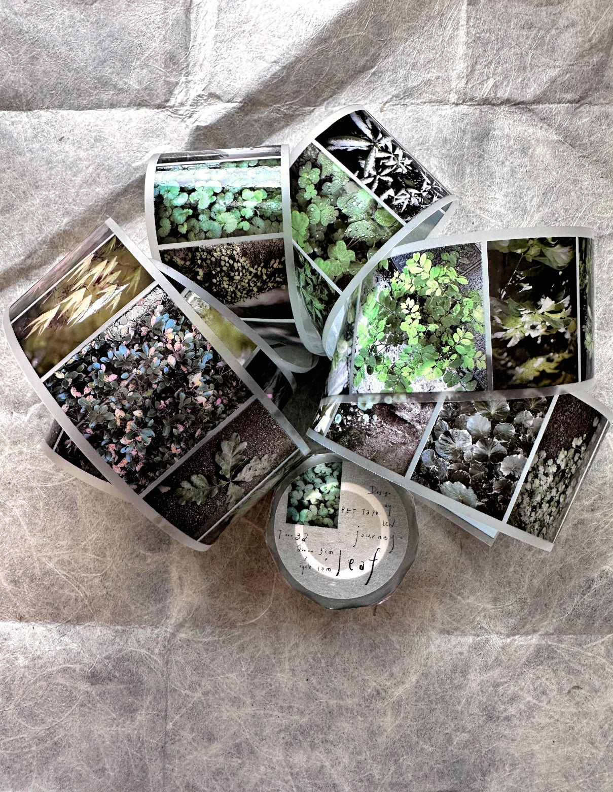 Lin Chia Ning - Journey Leaf PET tape & Washi tape (200 cm) SAMPLES