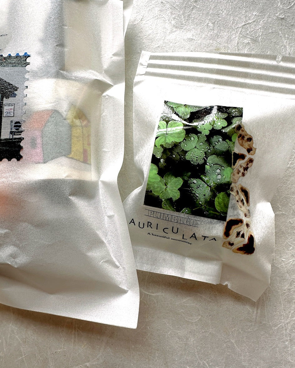 Lin Chia Ning - Journey Leaf PET tape & Washi tape (200 cm) SAMPLES