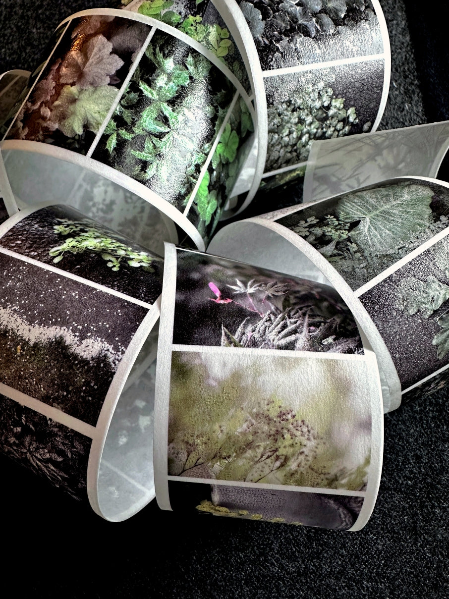 Lin Chia Ning - Journey Leaf PET tape & Washi tape (200 cm) SAMPLES