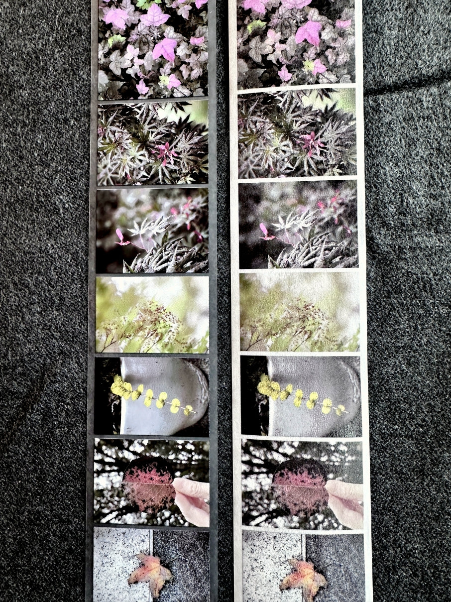 Lin Chia Ning - Journey Leaf PET tape & Washi tape (200 cm) SAMPLES