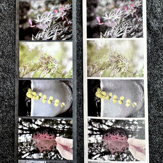 Lin Chia Ning - Journey Leaf PET tape & Washi tape (200 cm) SAMPLES