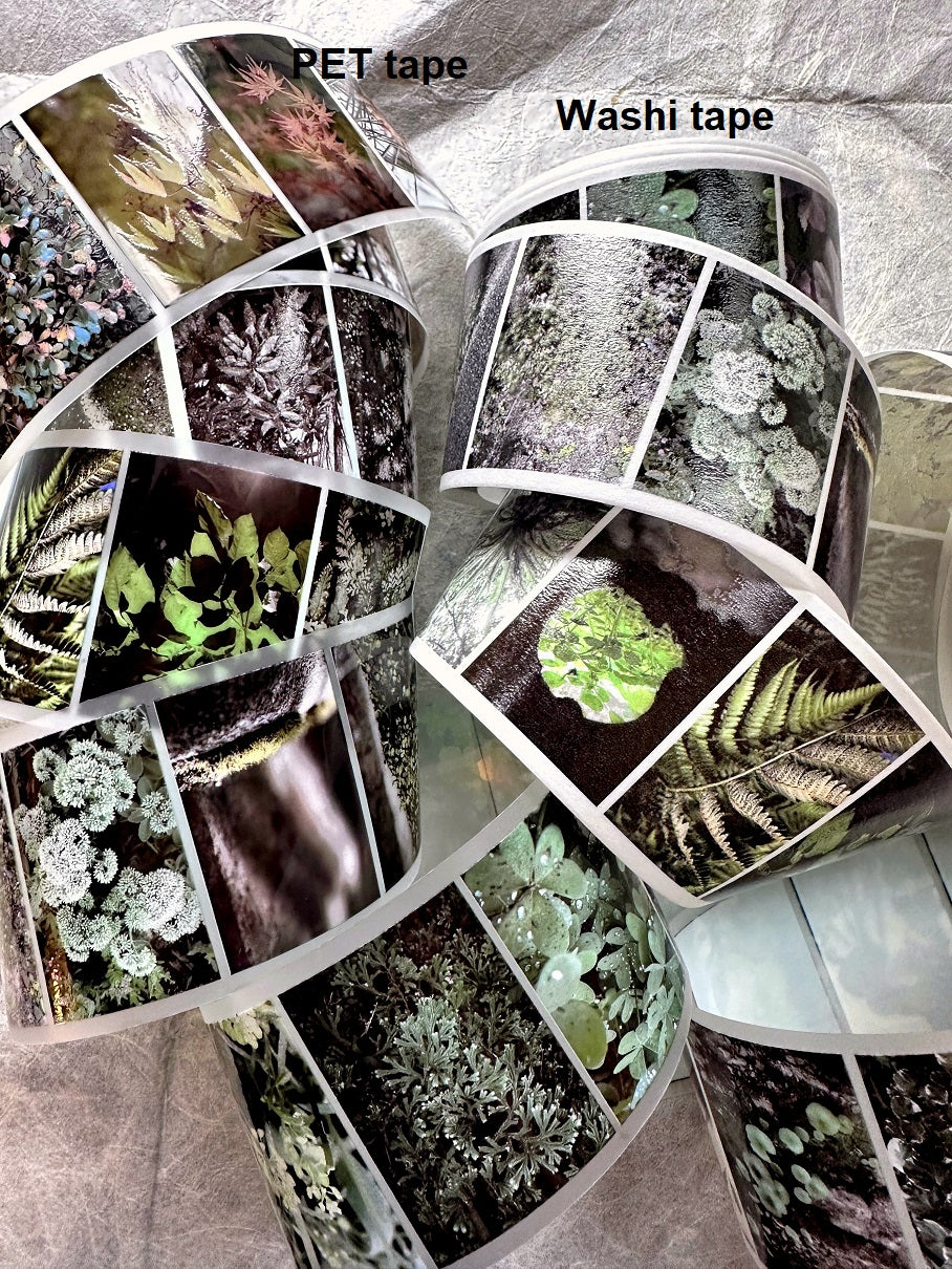 Lin Chia Ning - Journey Leaf PET tape & Washi tape (200 cm) SAMPLES