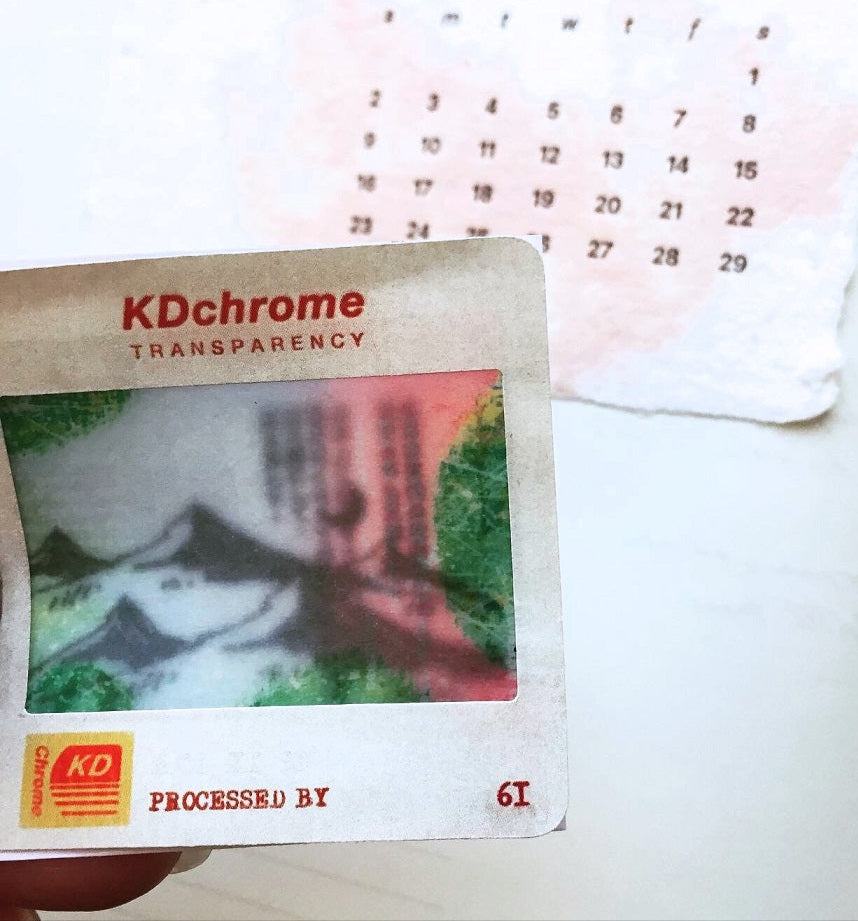 LihaoPaper - Forest Memo perforated paper tape SAMPLES