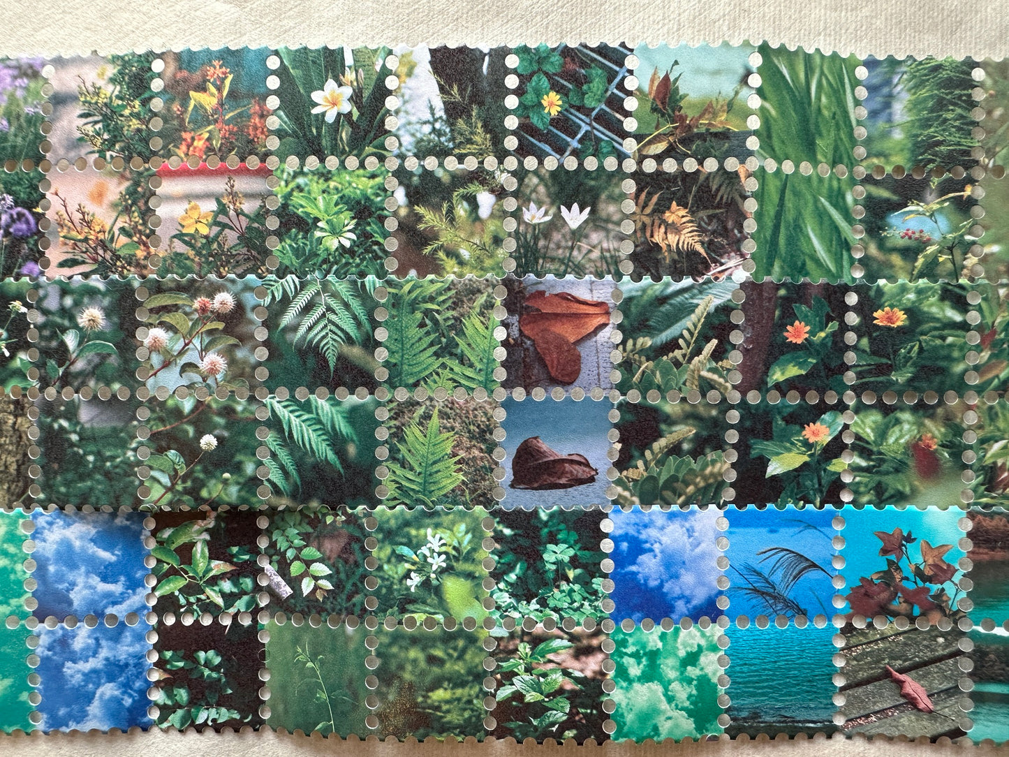 LihaoPaper - Mini Scenery of Daily Life perforated washi & paper tape SAMPLES