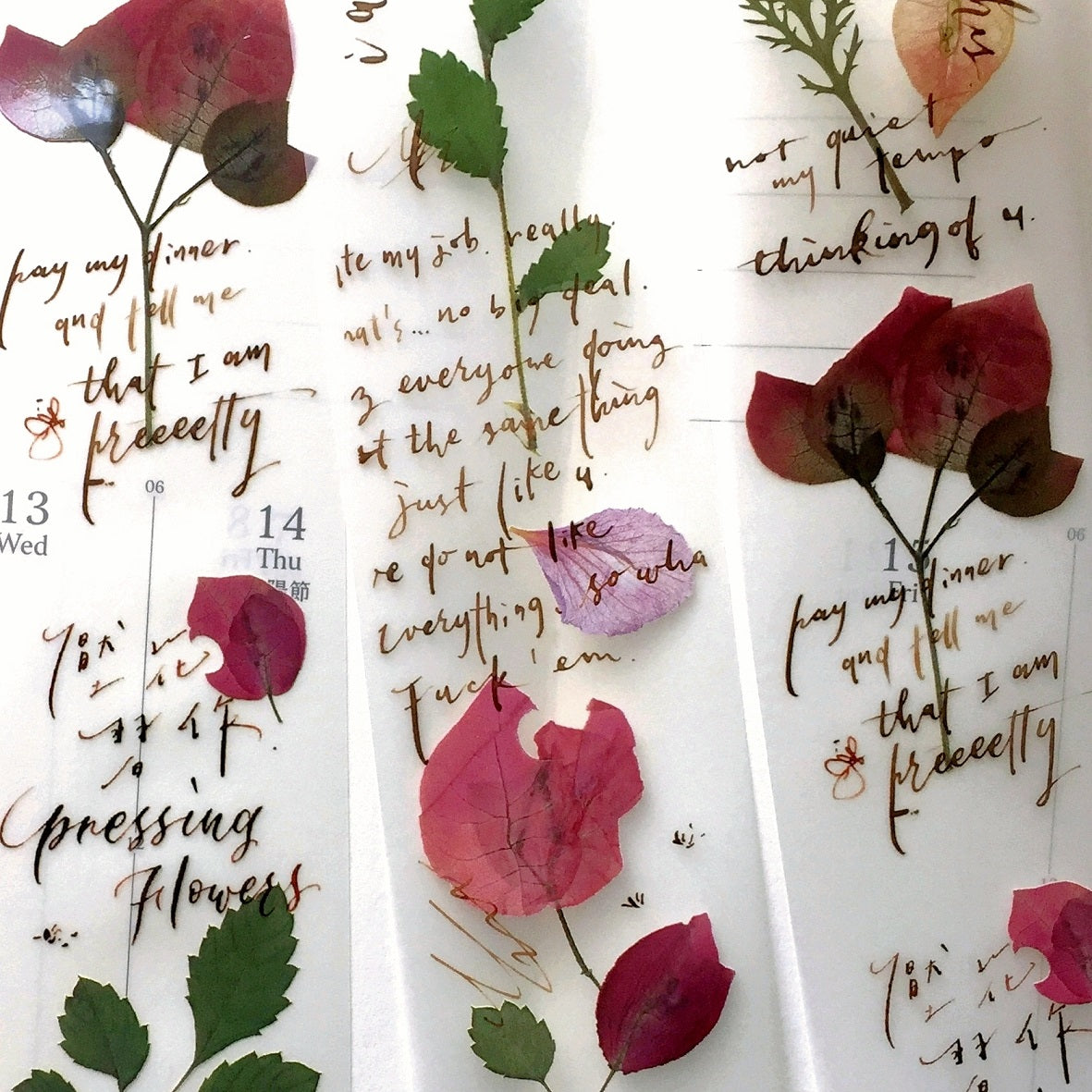 Mr. Eggplants - Pressing Flowers PET tape SAMPLES