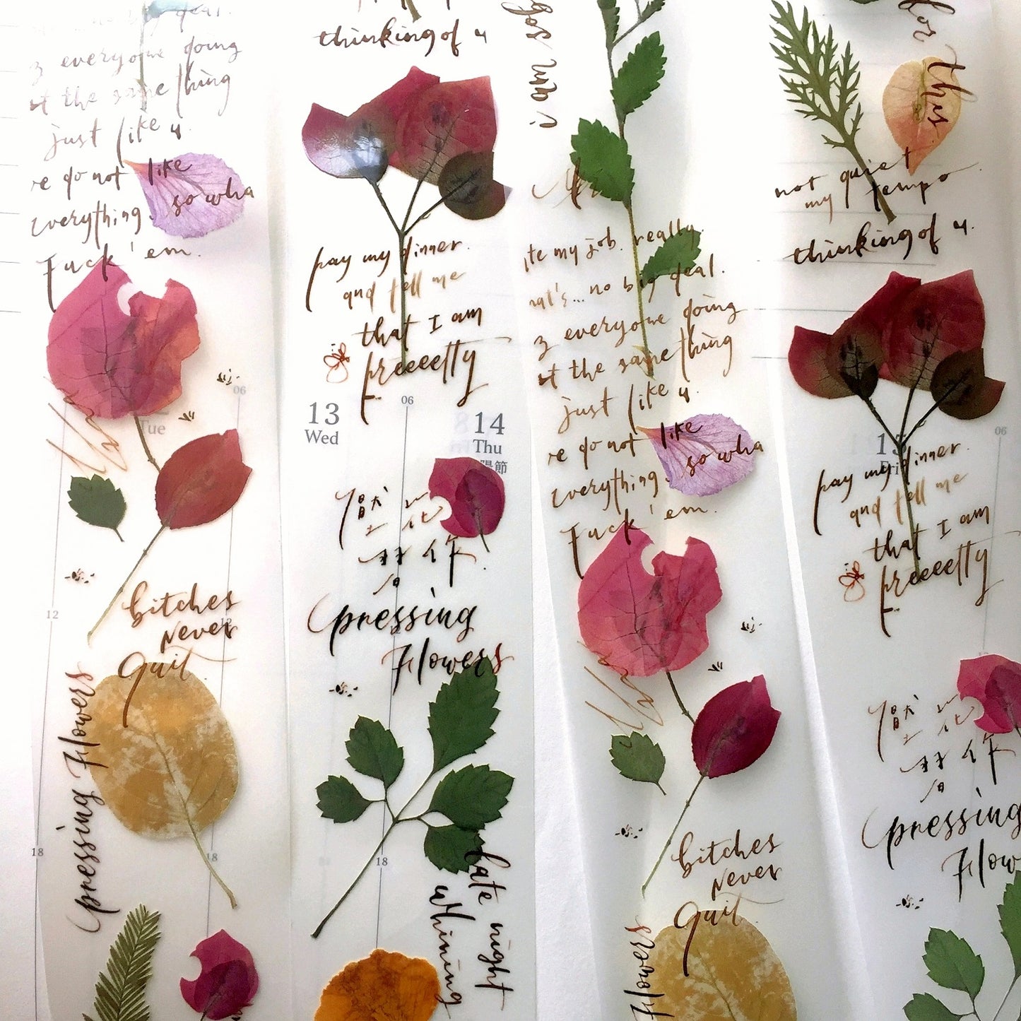Mr. Eggplants - Pressing Flowers PET tape SAMPLES