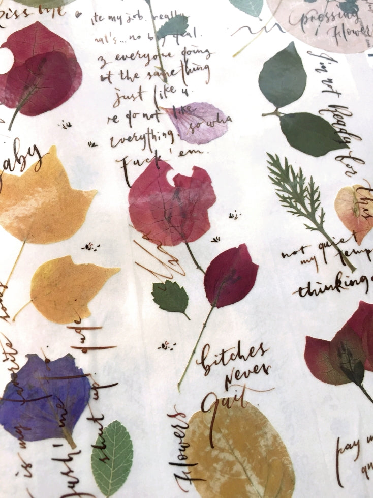 Mr. Eggplants - Pressing Flowers PET tape SAMPLES
