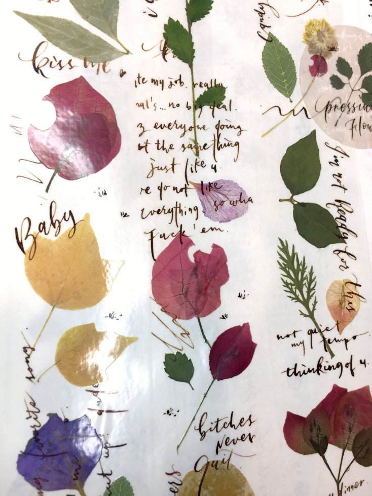 Mr. Eggplants - Pressing Flowers PET tape SAMPLES