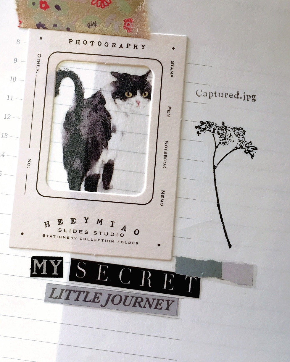 Mr. Eggplants - Little Journey PET tape SAMPLES