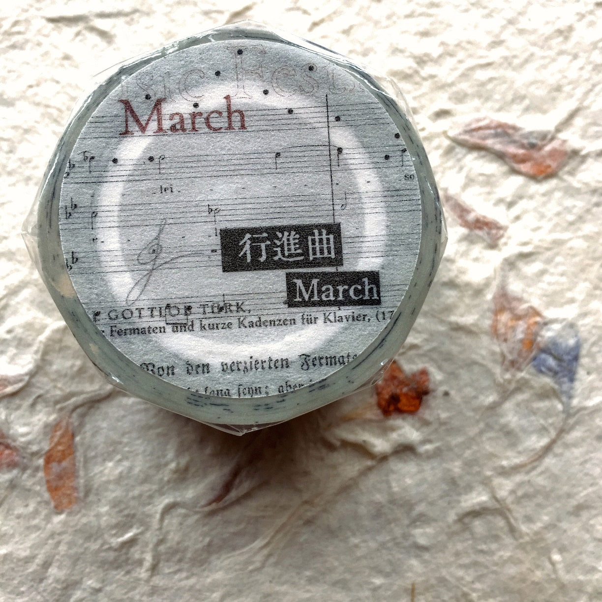 Mr. Eggplants - March washi tape (2.5 x 90 cm) SAMPLES